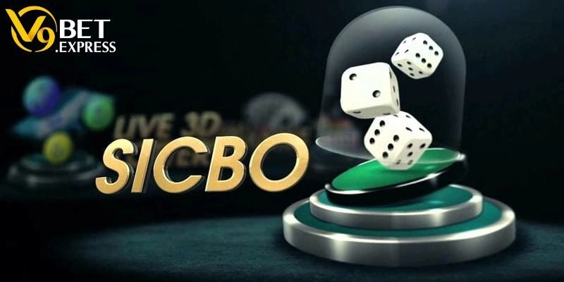 Một vài bí quyết đánh nhanh thắng lớn cho tân binh